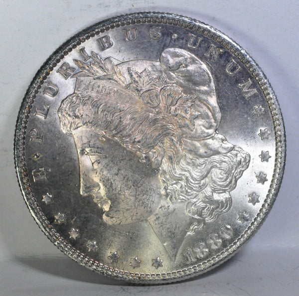 1880 S Morgan Dollar Gem Plus with Lovely Toning - Garden State Coins