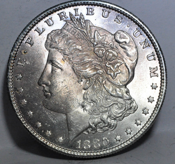 1880 S Morgan Dollar Gem Plus with Lovely Toning - Garden State Coins