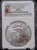 2013 S American Silver Eagle First Releases MS69 NGC - Garden State Coins