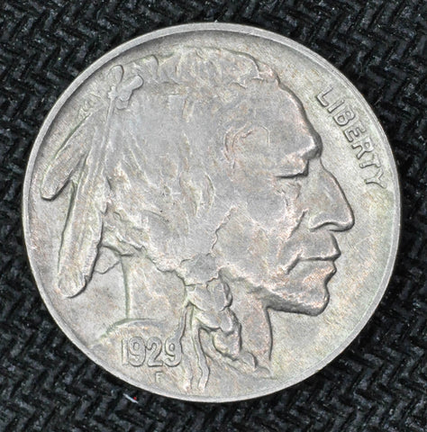 1929 Buffalo Nickel - Choice AU - Garden State Coins